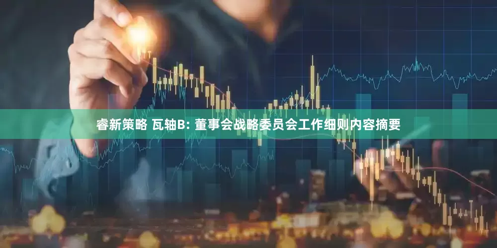 睿新策略 瓦轴B: 董事会战略委员会工作细则内容摘要