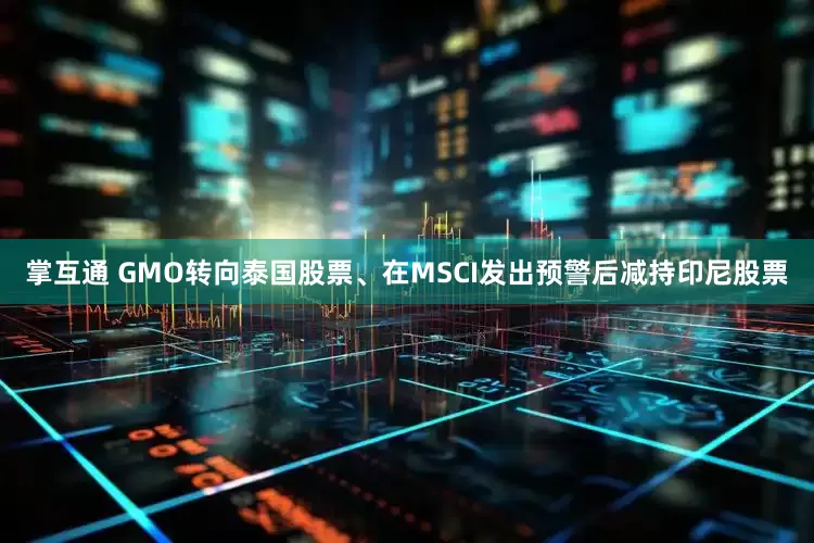 掌互通 GMO转向泰国股票、在MSCI发出预警后减持印尼股票